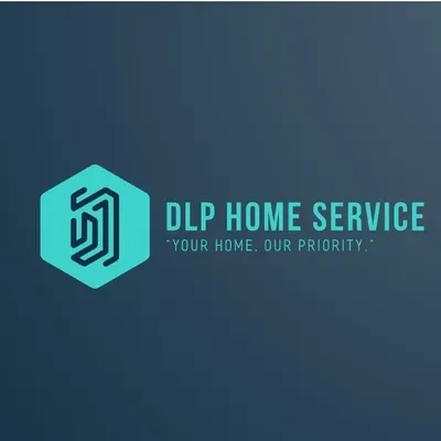 DLP Services Group LLC.