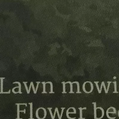 Dougs lawn service