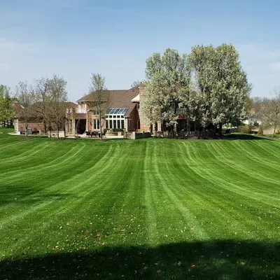 Fast Trak Lawns, and Allegheny leaf pickup