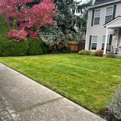 Mingo’s landscape LLC