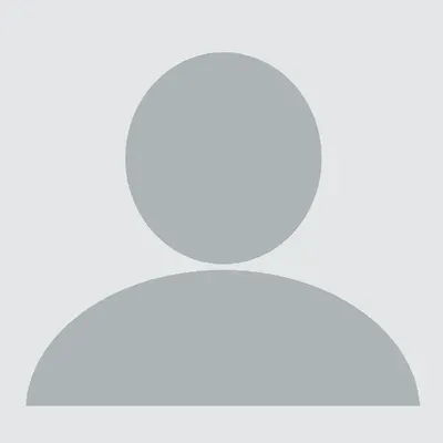 Domer LLC