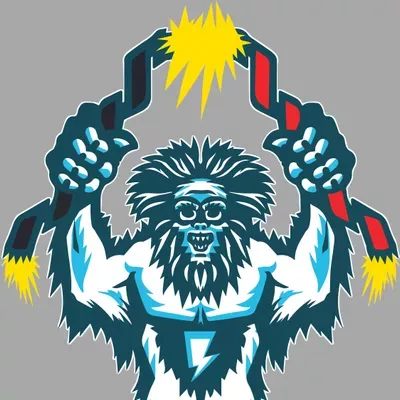 Yeti Ark Electric