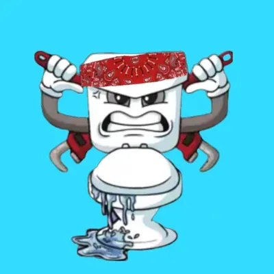 Drain Gang Plumbing