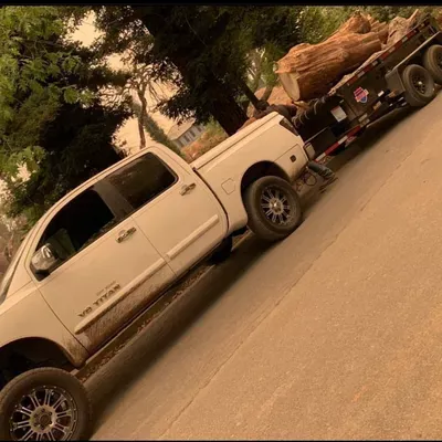Chuchos Removals