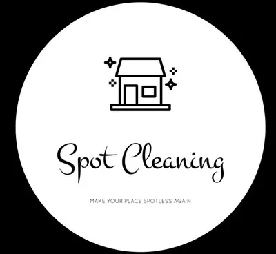 Spot Cleaning Services