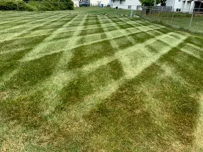 Your Maintenance Free Lawn Services LLC