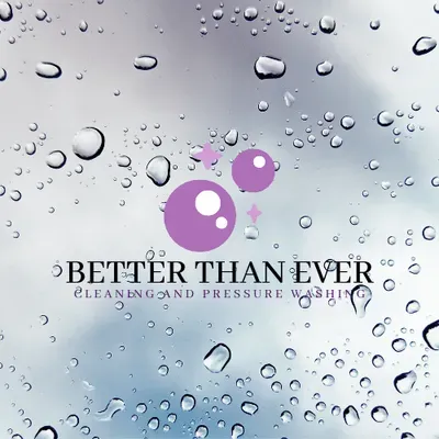 Beter Than Ever Cleaning Co.