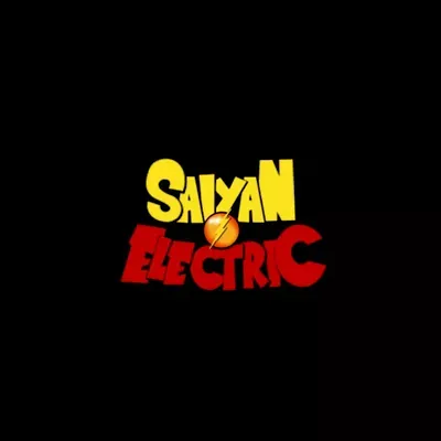 Saiyan Electric Inc