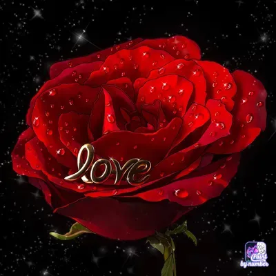 Redrose Notary