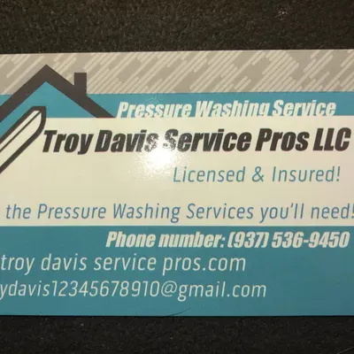 Troy Davis Service Pros LLC