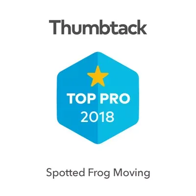 Spotted Frog Moving