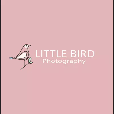 Little Bird Photography