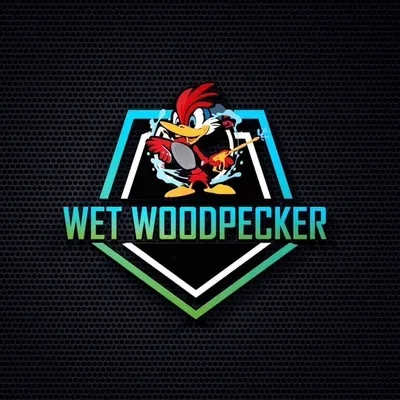 Wet Woodpecker
