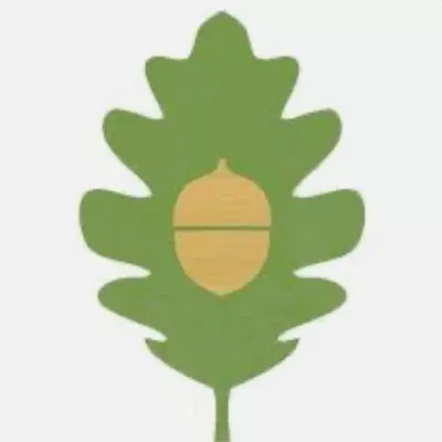 Acorn + Oak
