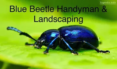 Blue Beetle Sanitation