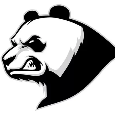 PANDA pressure washing