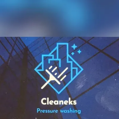 Cleaneks Solutions