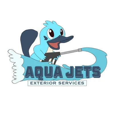 Aqua Jets exterior services