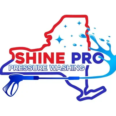 ShinePro exterior cleaning
