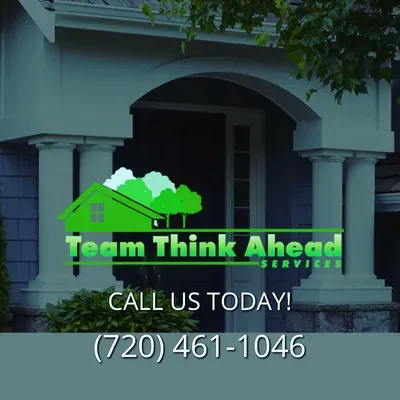 Team Think Ahead Services
