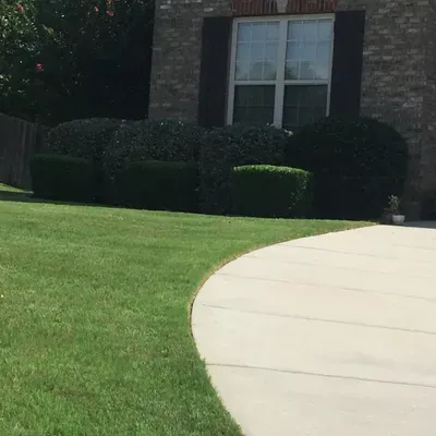 Rangel's Lawn Maintenance