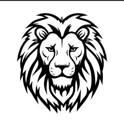 Lion heart pressure washing