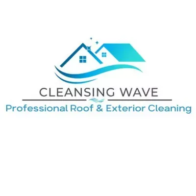 Cleansing Wave Exterior Cleaning