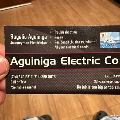 Aguiniga Electric