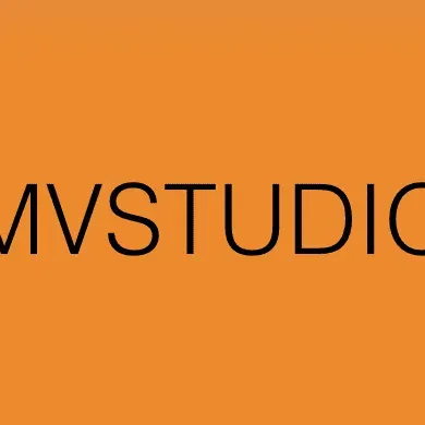 MV Studio - Social Media and Content Marketing