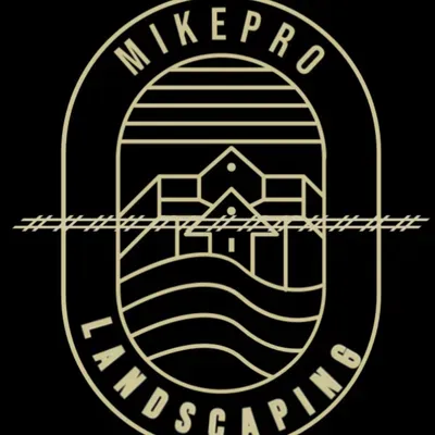 MikePro services
