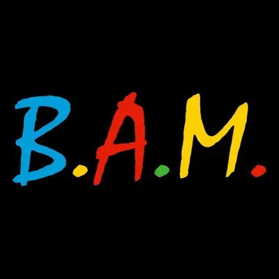 B.A.M. PHOTOGRAPHS!