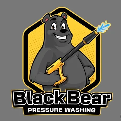 Black Bear Pressure Washing
