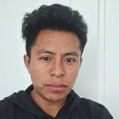 Perez Electric