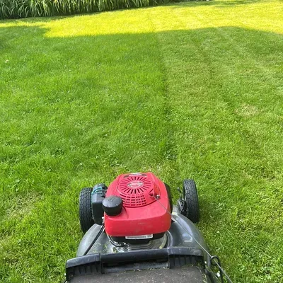 Landscape high pressure washing