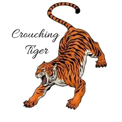 Crouching Tiger Exterior Cleaning