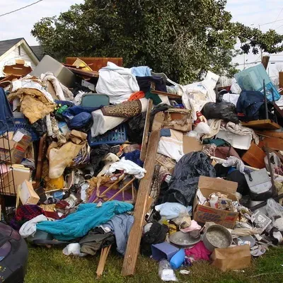 Royale Junk Removal