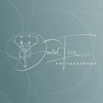 Elephant Serene Portraits