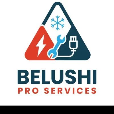 Belushi Pro Services