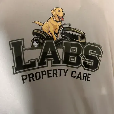 LABS Property Care L.L.C.