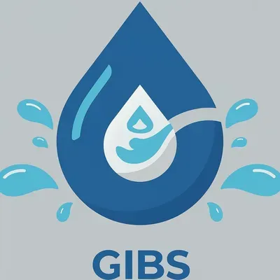 GIBS LLC