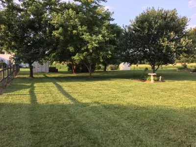 Sanchez Lawn care