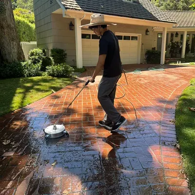 Dobermann Pressure Washing