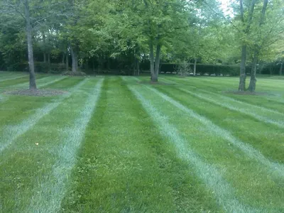 A&M Lawn care