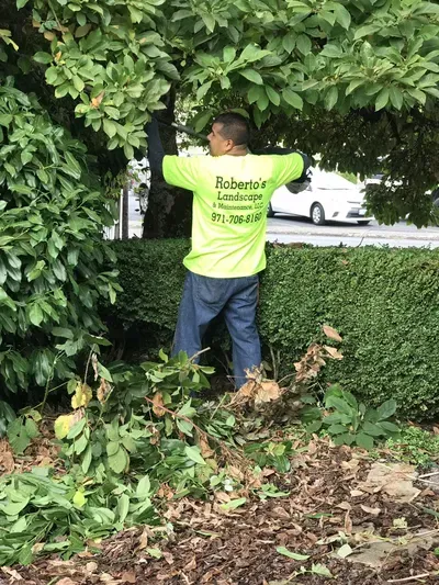 Roberto’s Landscape & Maintenance, LLC