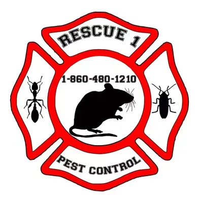 Rescue 1 Pest & Termite Control  B#3397.  S#4237