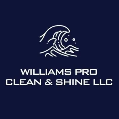 Williams Pro Clean & Shine LLC