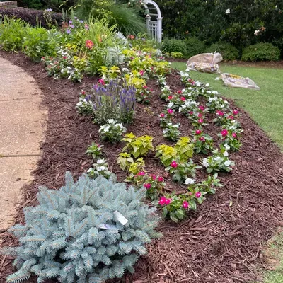 Ruben’s Landscaping and yard maintenance