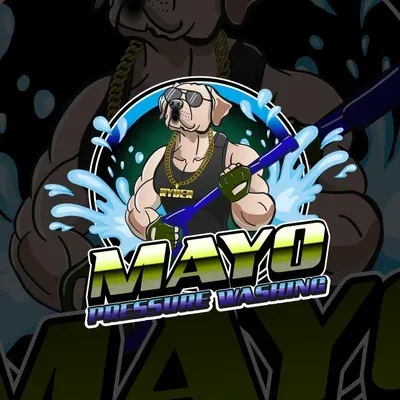 Mayo Pressure Washing LLC