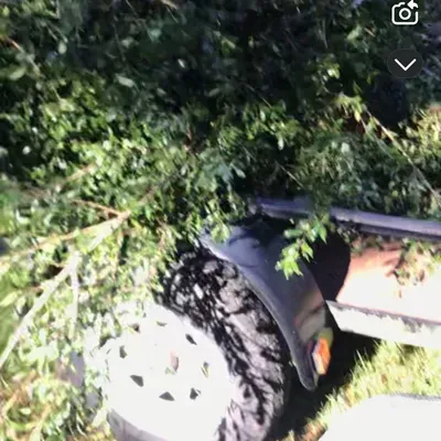 W and D junk removal and hauling