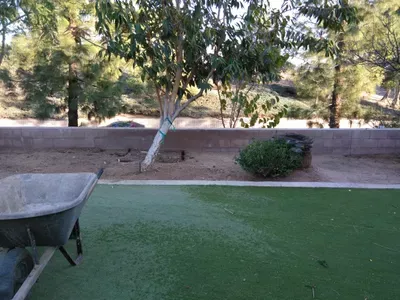 Cruz tree service and sod install